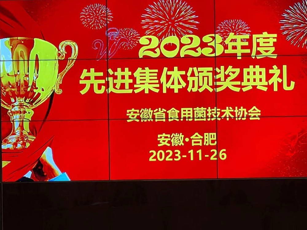 先进集体及先进个人表彰大会----安徽新徽菇生物科技有限公司