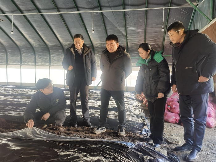 安徽省食用菌技术协会专家委员会主任张方江一行深入岳西县调研食药用菌产业