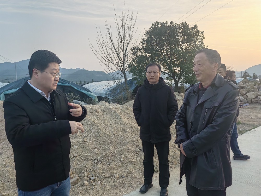 何斌县长考察安徽新徽菇岳西菌种厂