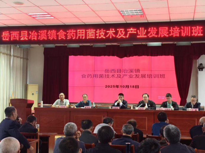 1761697469202543.png image.png