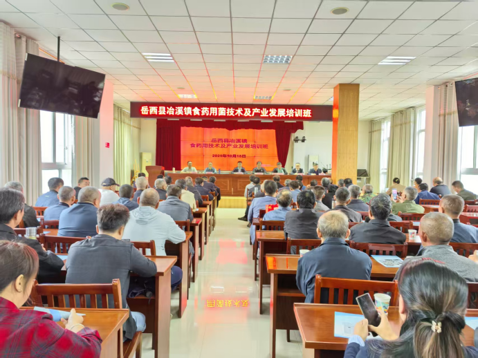 1761697495580476.png image.png